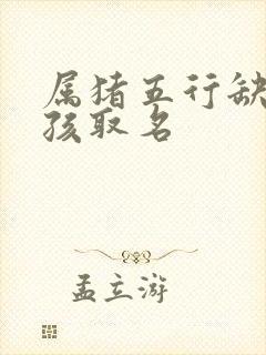 属猪五行缺金男孩取名