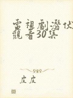 电视剧潜伏免费观看30集