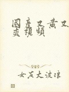 国产又黄又色又爽视频