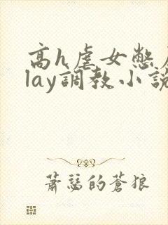 高h虐女憋尿play调教小说