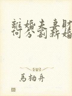 离婚夫妻财产如何分割新婚姻法