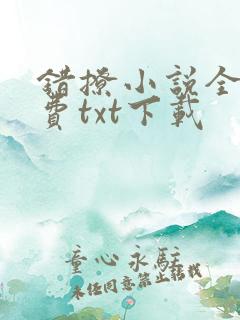 错撩小说全文免费txt下载