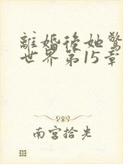 离婚后她惊艳了世界第15章