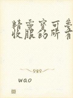 精灵宝可梦小智收服的所有宝可梦