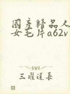 国产精品人妻熟女毛片a62v