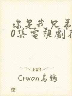 你是我兄弟全40集电视剧在线播放免费