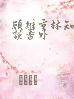 顾维重林知夏小说番外