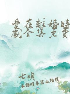 爱在离婚时电视剧全集免费观看