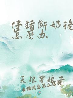 仔猪断奶后拉稀怎么办