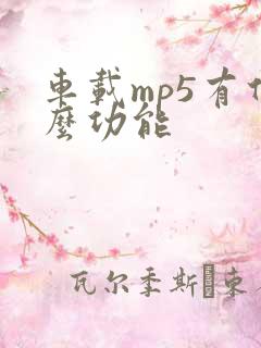 车载mp5有什么功能