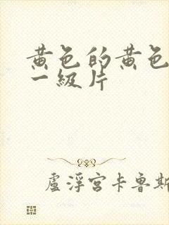 黄色的黄色录像一级片