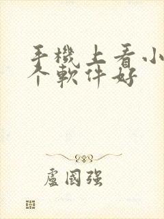 手机上看小说哪个软件好