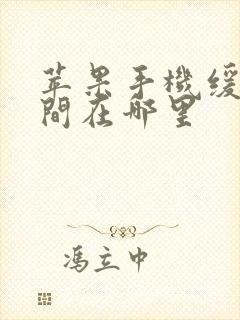 苹果手机缓存空间在哪里