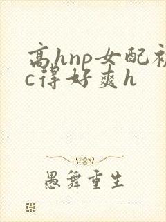 高hnp女配被c得好爽h