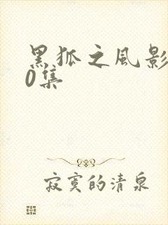 黑狐之风影第40集