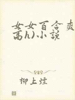 女女百合爽文(高h)小说