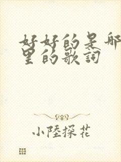 好好的是哪首歌里的歌词