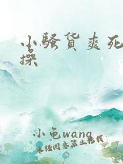 小骚货爽死我了操