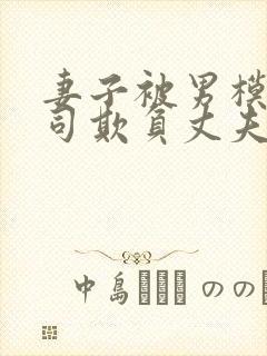 妻子被男模和上司欺负丈夫并不知晓