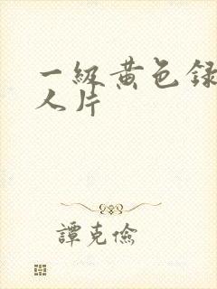 一级黄色录像真人片