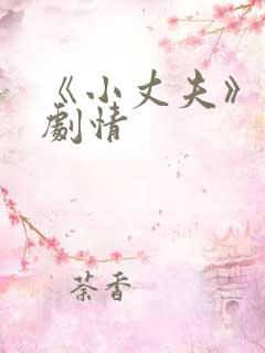 《小丈夫》分集剧情