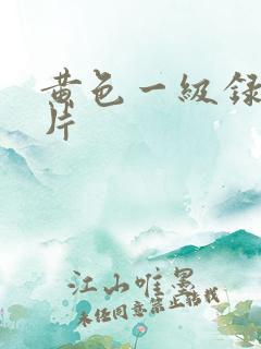 黄色一级录像影片