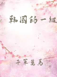 韩国的一级片.
