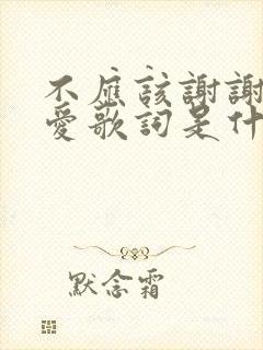 不应该谢谢你的爱歌词是什么歌