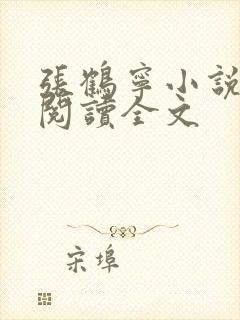 张鹤宁小说免费阅读全文