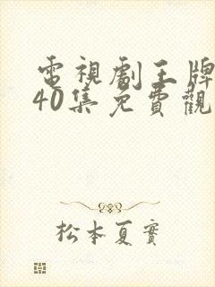 电视剧王牌部队40集免费观看