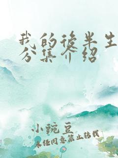 我的后半生剧情分集介绍