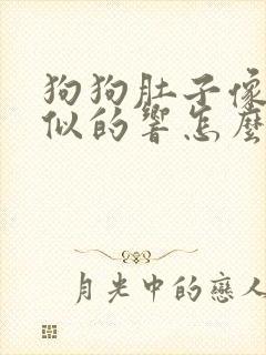 狗狗肚子像拉稀似的响怎么办啊