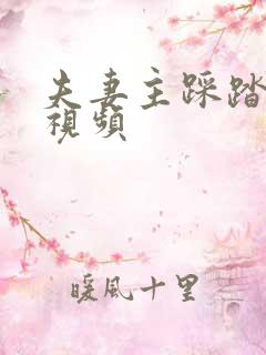 夫妻主踩踏vk视频