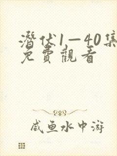 潜伏1—40集免费观看