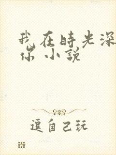 我在时光深处等你 小说