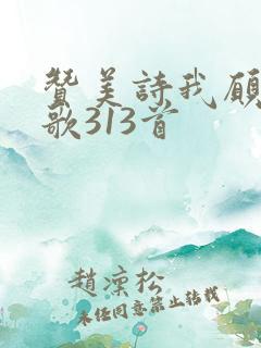 赞美诗我愿象主歌313首