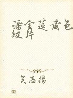 潘金莲黄色,一级片