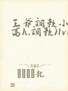 王爷调教小说(高h,调教)1v1