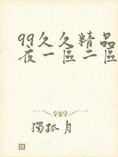 99久久精品午夜一区二区三区