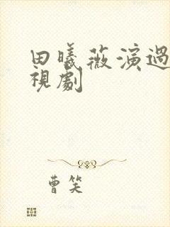 田曦薇演过的电视剧