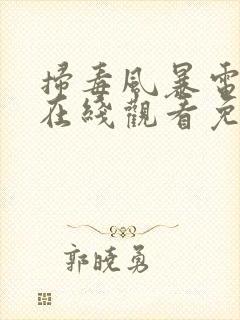 扫毒风暴电视剧在线观看免费高清