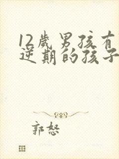 12岁男孩有叛逆期的孩子怎么去引导