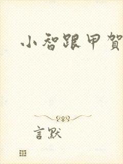 小智跟甲贺忍蛙