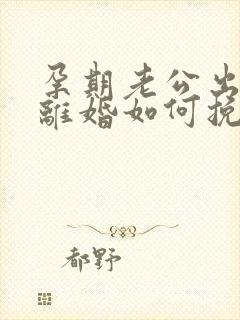 孕期老公出轨要离婚如何挽回