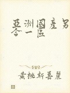 亚洲国产另类综合一区