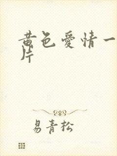 黄色爱情一级大片