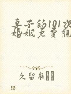 妻子的101次婚姻免费观看电视剧