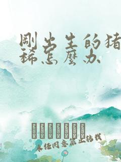 刚出生的猪仔拉稀怎么办