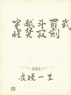 穿越斗罗武魂觉醒焚寂剑