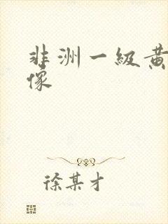 非洲一级黄色录像